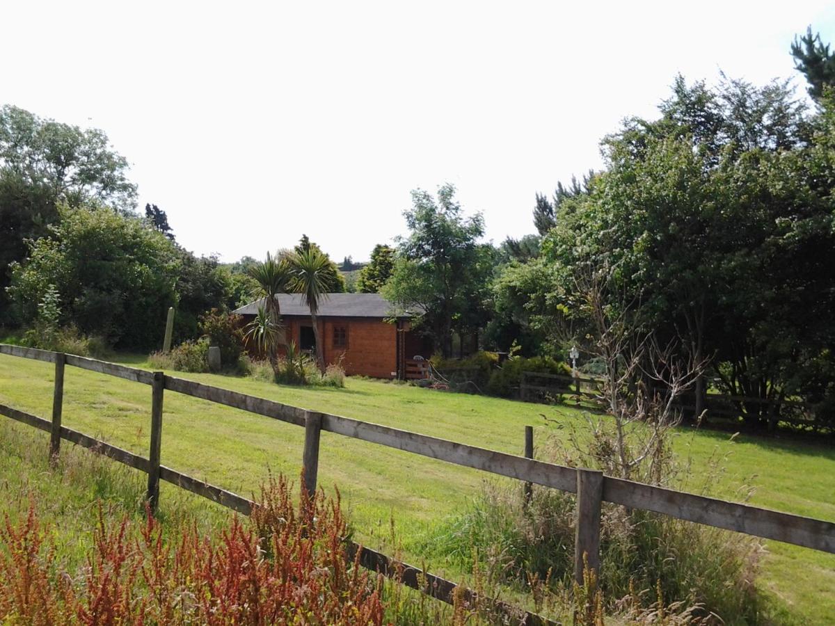 Tudor Lodge With Pool & Bbq Cabin Liskeard Luaran gambar